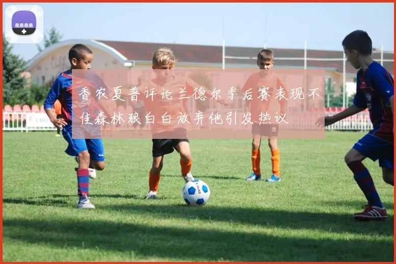 香农夏普评论兰德尔季后赛表现不佳森林狼白白放弃他引发热议