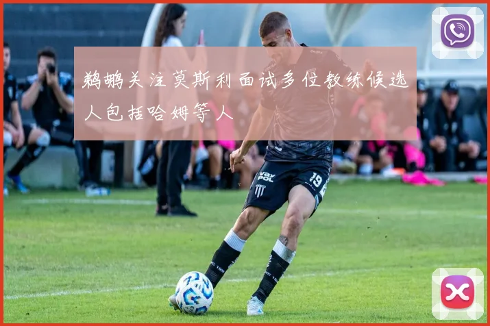 鹈鹕关注莫斯利面试多位教练候选人包括哈姆等人